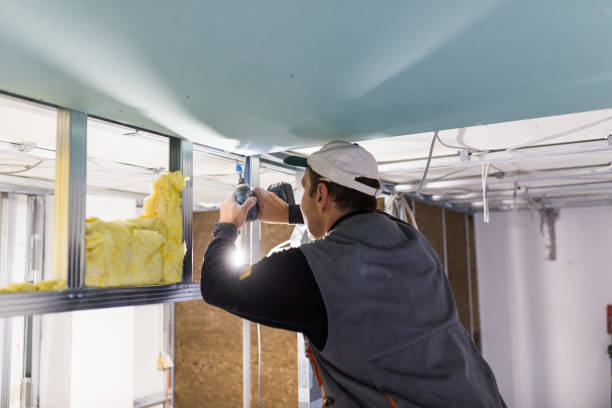 Best Insulation Removal  in Cleveland, TX