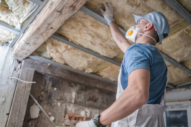Best Local Insulation Services  in Cleveland, TX