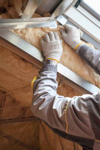 Garage Insulation Installation in Cleveland, TX
