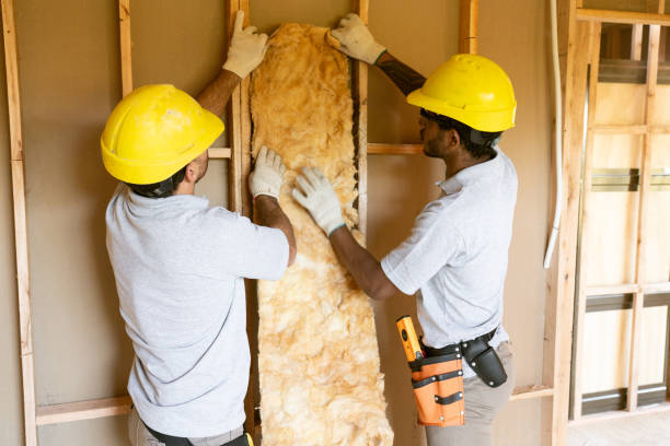 Best Professional Insulation Contractor  in Cleveland, TX