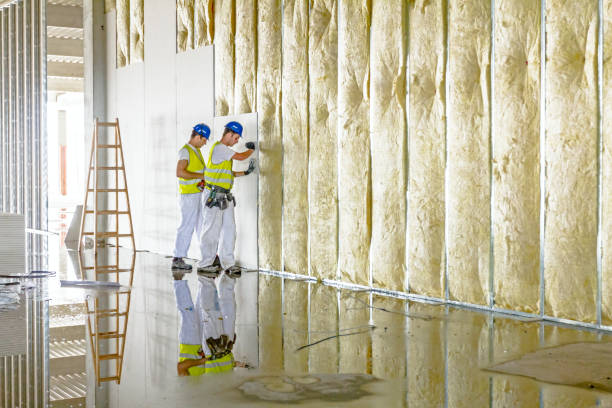 Best Spray Foam Insulation  in Cleveland, TX